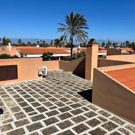 Araba Fenice Luxury Brindisi